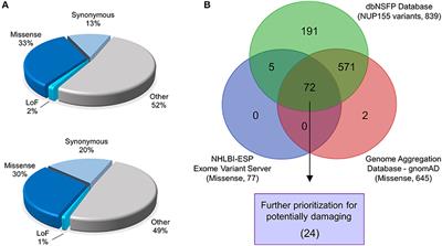 Protein Subdomain Enrichment of NUP155 Variants Identify a Novel Predicted Pathogenic Hotspot